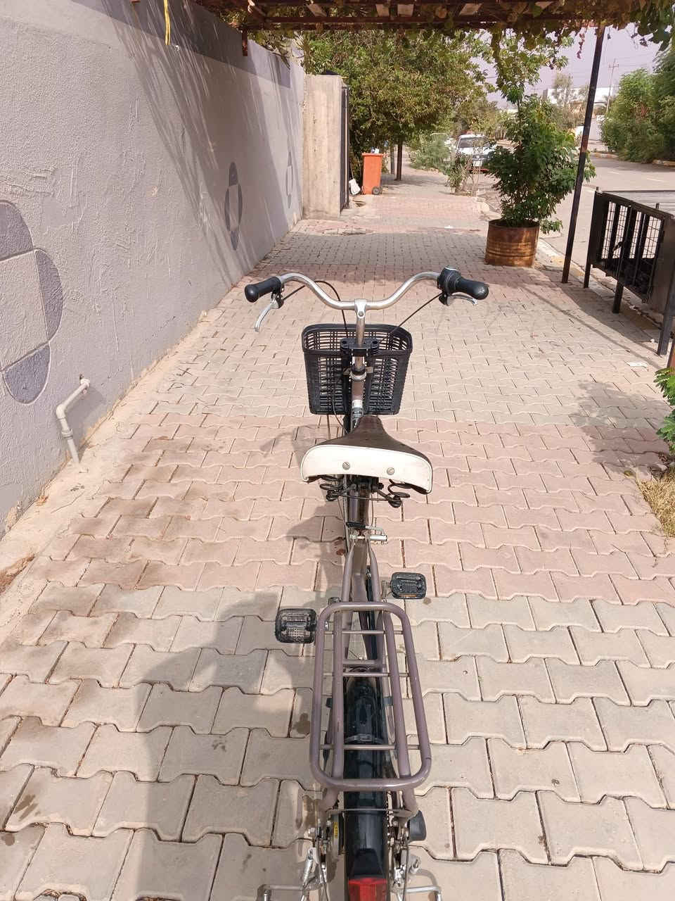 ياباني اصلي • موديل 2022 • طوز خرماتو