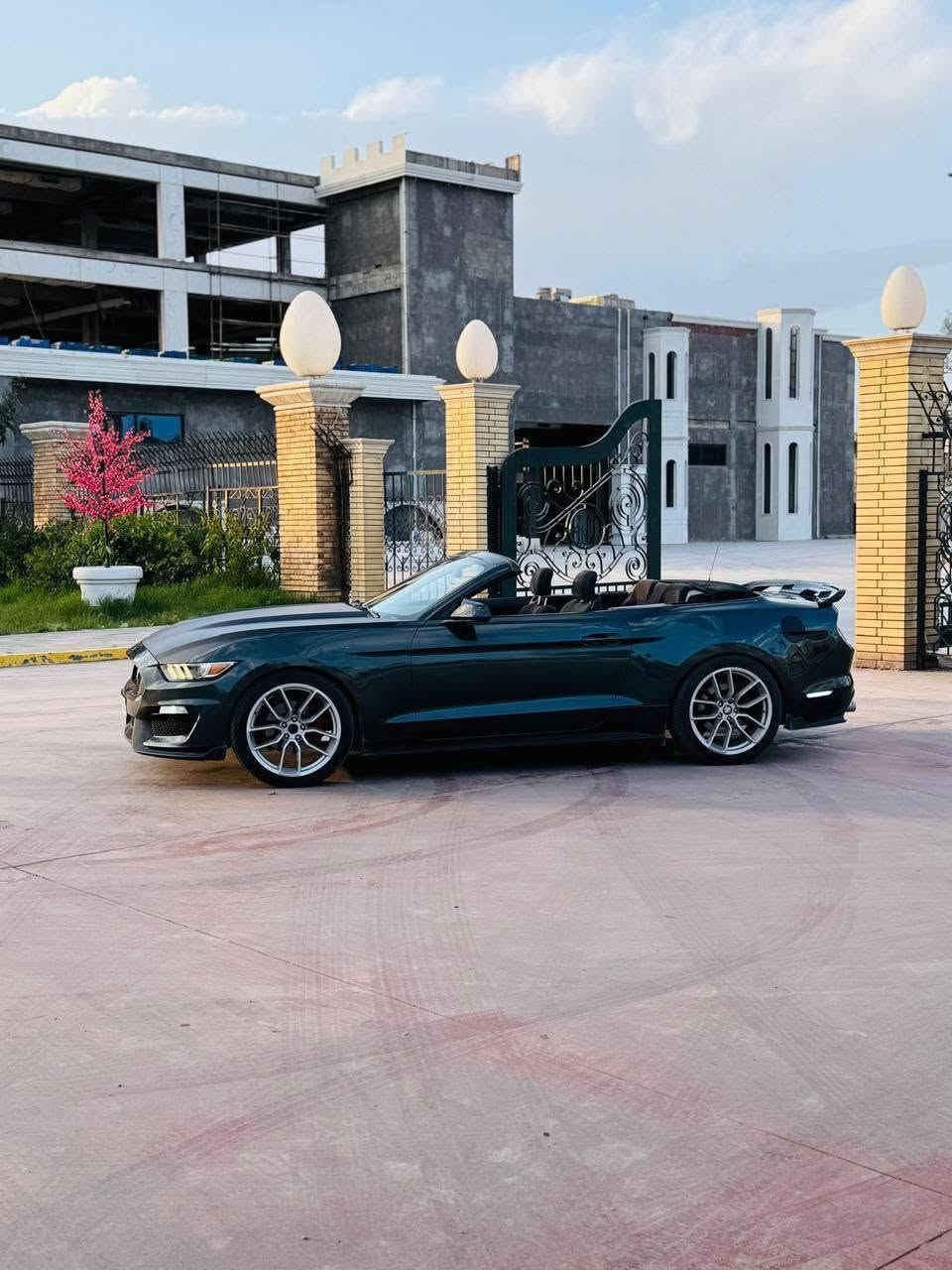 للبيع سعر مناسب بلاش
Mustang 2016 v6 
رقم اربيل 
سونار موجود ب منشور 
بيها صوت مال محرك لازم تصليح بس ما مفتوح 
سعر ٩٨ ورقة 
ابيع ب عام صبغ 
ب شرط تحويل 
*********** واتس اب
