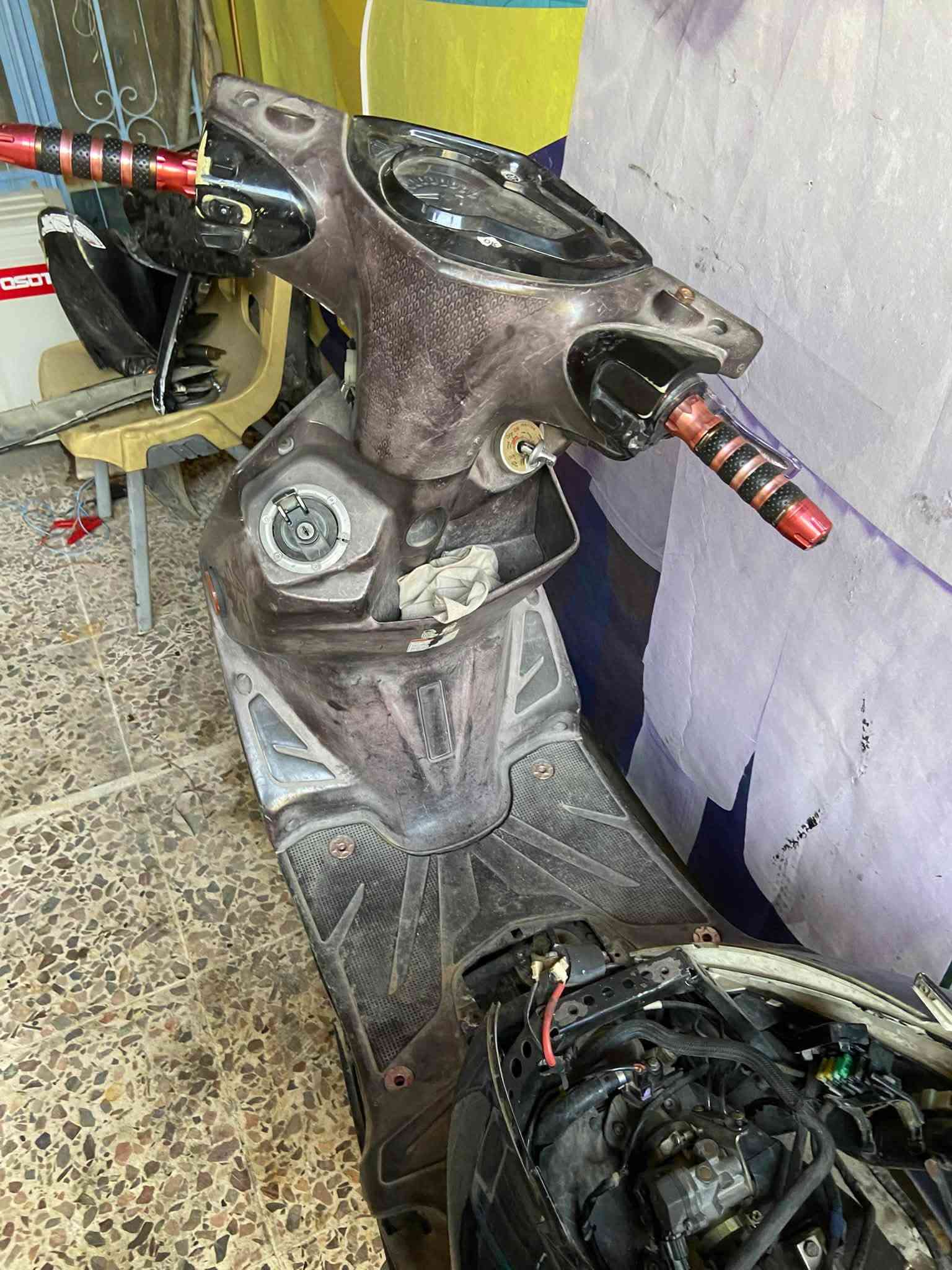 سكنس • ياباني • لد
