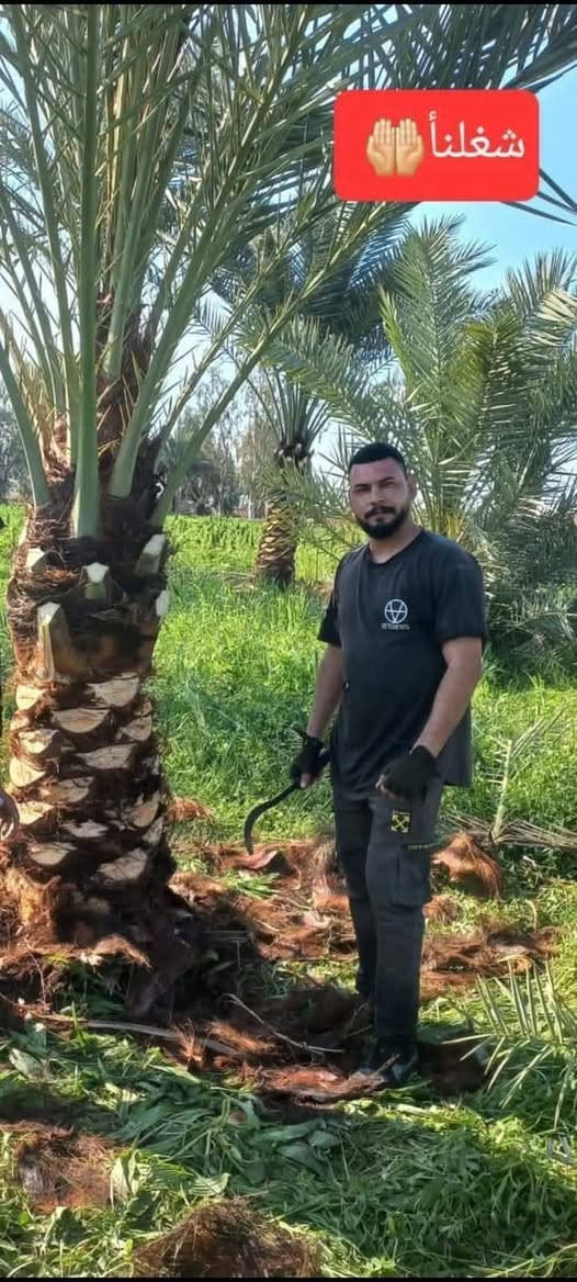سلام عليكم ورحمة الله وبركاته
نعمل في قص النخيل ونبك ولقلنطوز /وحش الحدائق وتنظيف الحدائق🌴  🌳 عمل جيد وتكريب وكص التمر وتركيس وتلقيح النخل وشلع وزرع النخل وتظيف ونقل النخلة أو الشجرة بعد قصها إلى مكان بعيد عن المنزل... وكذلك تنظيف النخل وتقليم الكابرس.... الإتصال على هذا الرقم(*********** /***********) في خدمتكم أن شاء الله تعالى ومن الله التوفيق🤲🌴

نص مكتوب في الصور:
- سويته بستان
- رقم صعب سجاد
- شغلنا
- بعد الشلاع
- قبل شلاع
- بعد شغل
- وهنا ختمنه شغل كملت المزرعه