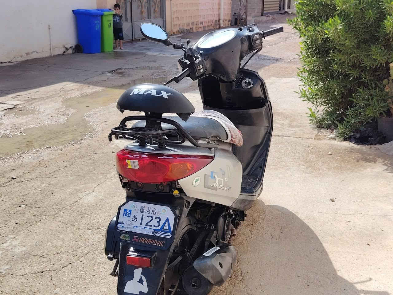 بريز بغبغاء • محرك مفتوح • بدون اوراق