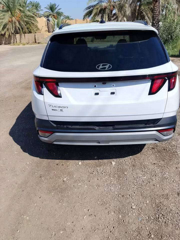 توسان 25 • ٢٠٢٥ • بابل
