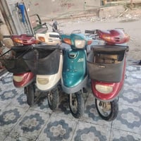 منغولي • بطه • وصولات