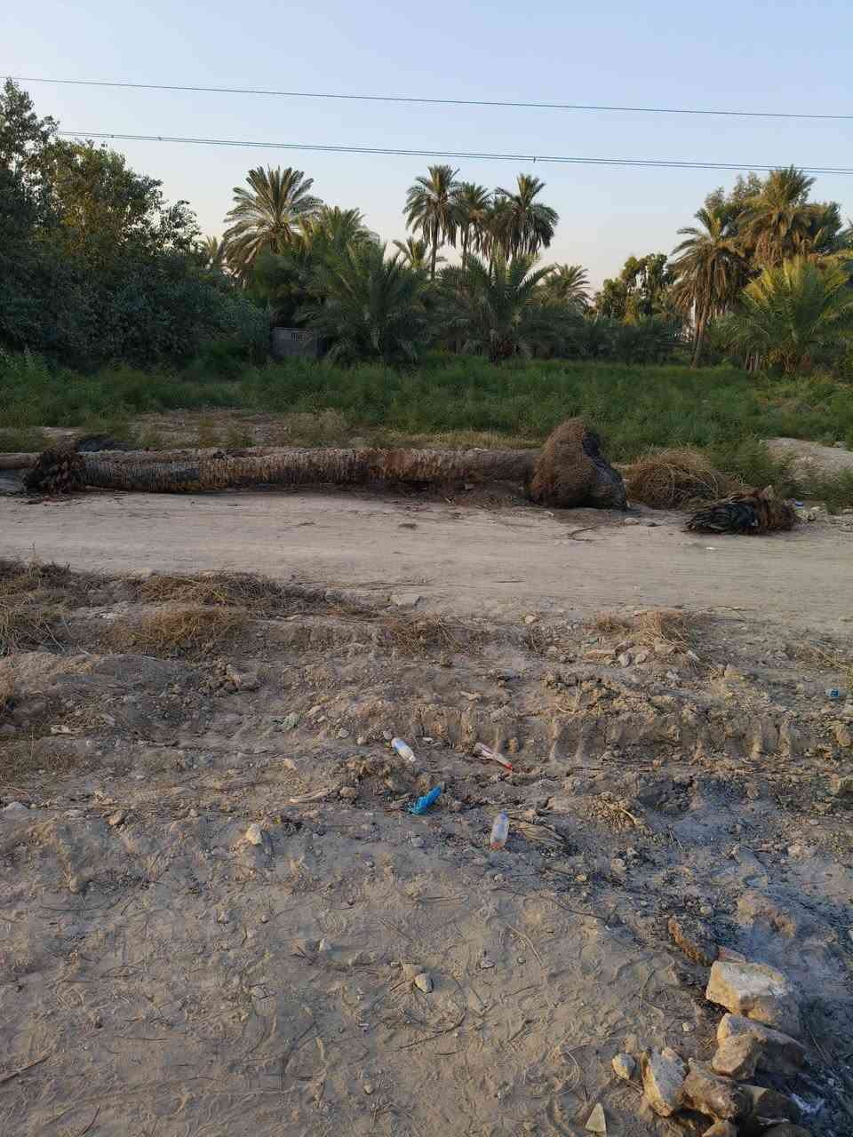 قطعة أرض للبيع 🥰
سنتر عل الشط جهة الجمجمه 
المساحه دونم و 800متر
الواجهه 30 طابو  صافيه من الماليه
بااسم شخص واحد تحويل مباشر 
السعر خاص او اتصال 
***********
