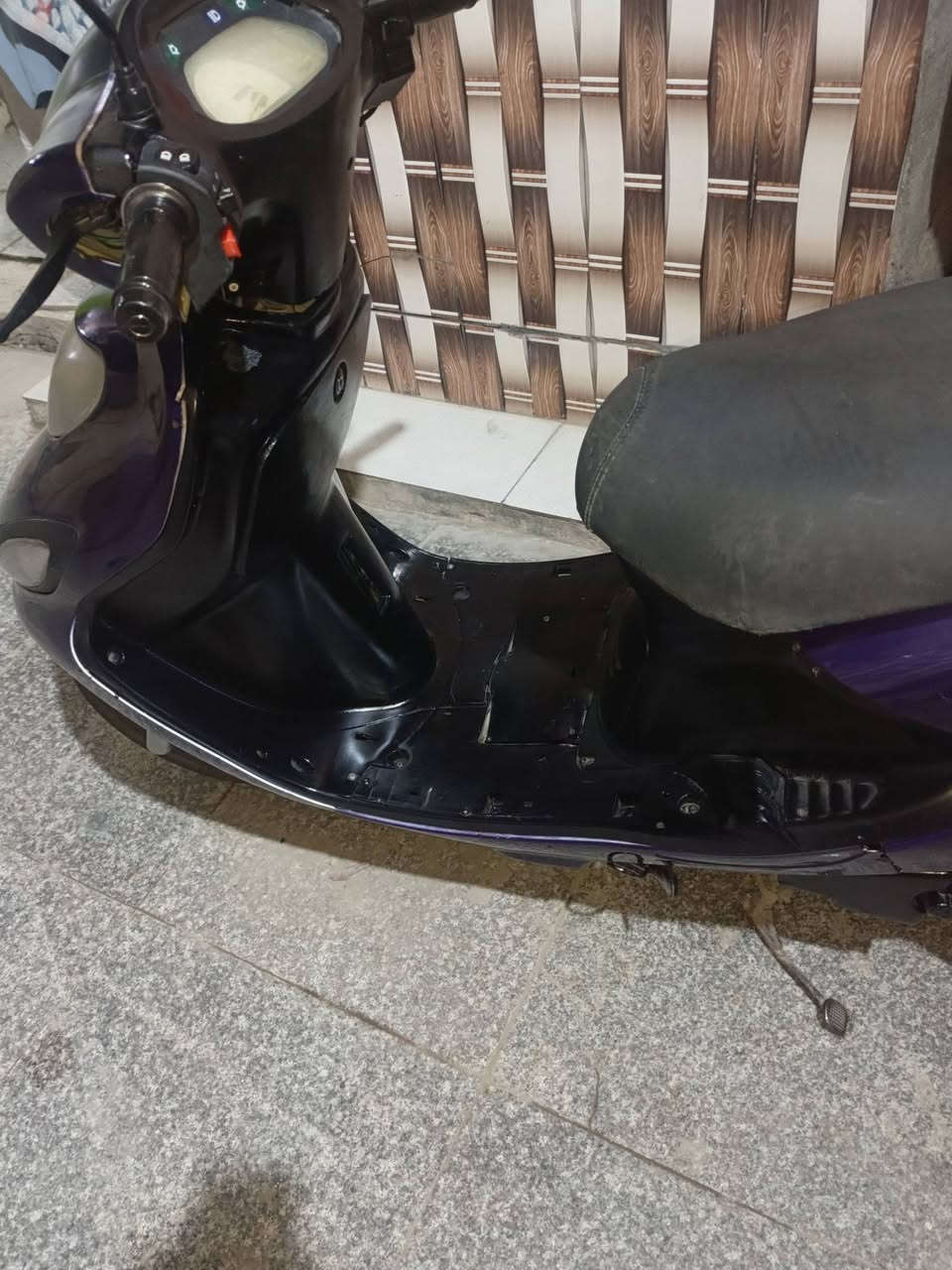 ذبانه دولفين