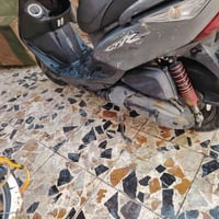 ثعلب • كله بلادية • مال رمبة