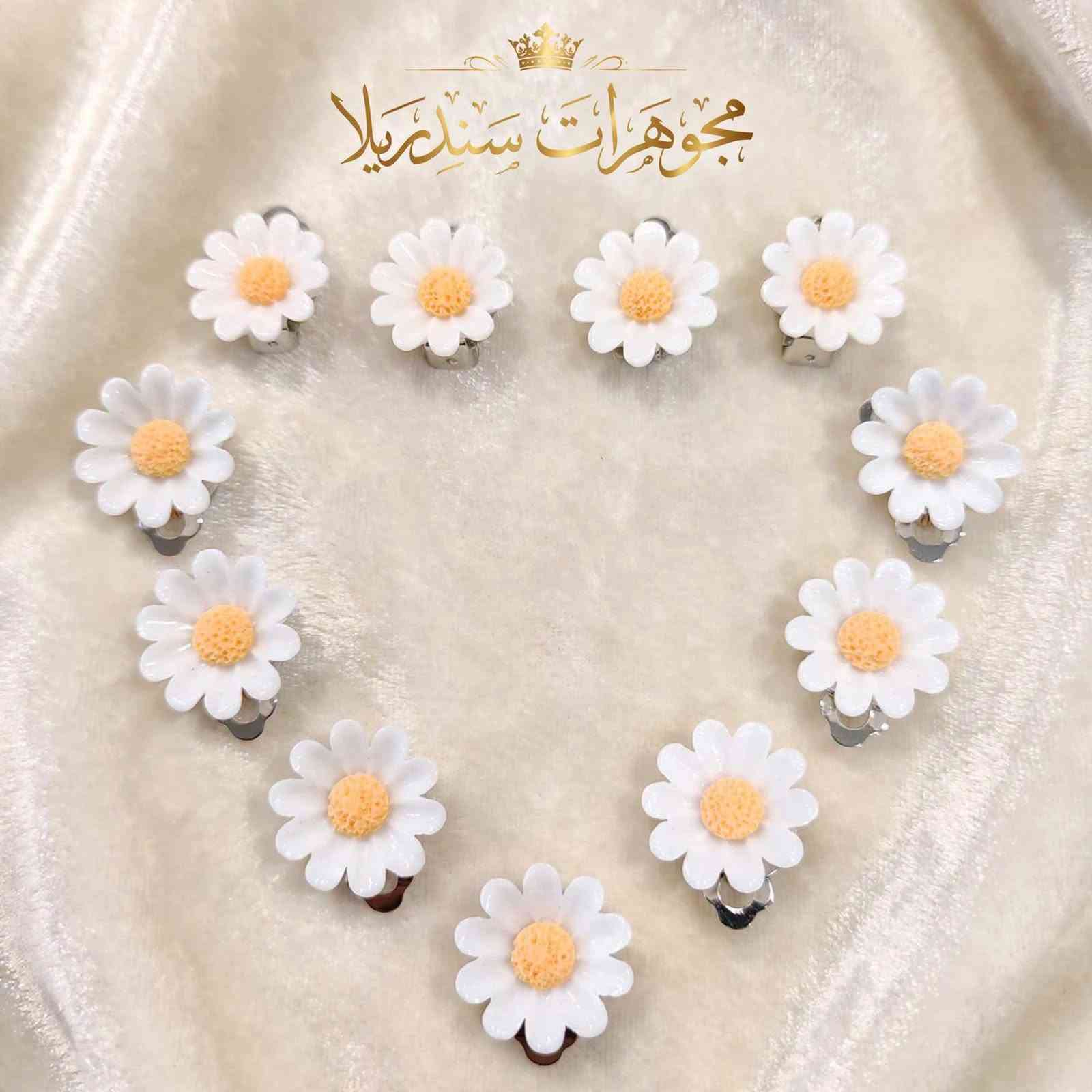 طوقات شعر • مجوهرات سندريلا • الموصل