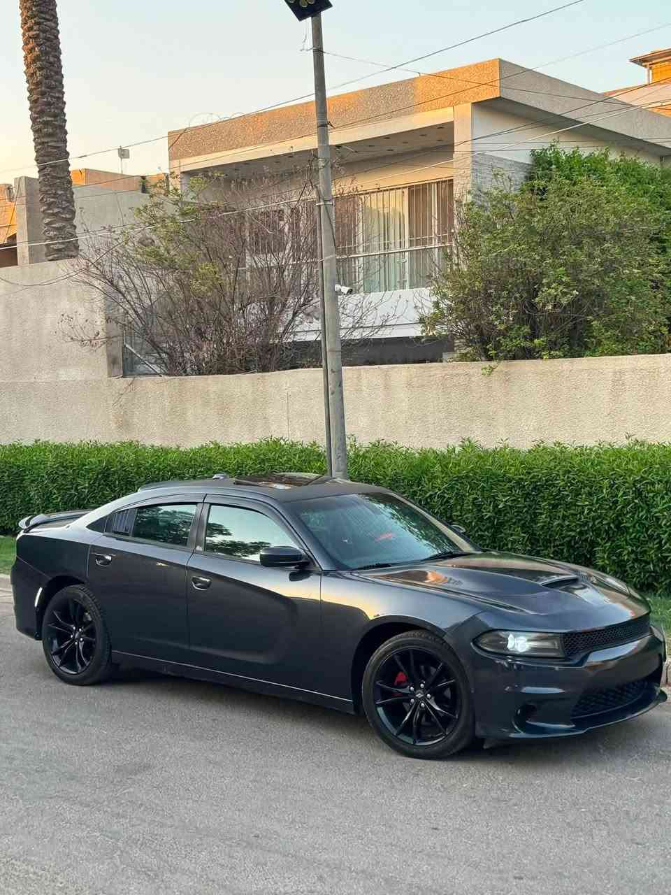 السلام عليكم جارجر 2018 نيلي 💙
بغداد بسمي 1/1 فول مواصفات ل اخير 
رقم بغداد بسمي كير مكينه كفاله عامه 

حادثه فقط جاملغ مصبوغ ول بنيد محدث
وكير مكينه مكفولات وجديدات وبدون اي نقص

سعر 166

مواصفات
فتحه سقف 
تحكم ستيرن جهتين
مكينه 6.  3.6 
تو ويل 2
خزن ميموري 
تدفئه تبريد كشنات
مقاعد خلفيه تدفئه
سماعات الباين
رادارت اماميه خلفيه
فول موافصات بدون نقص

بغداد ***********
