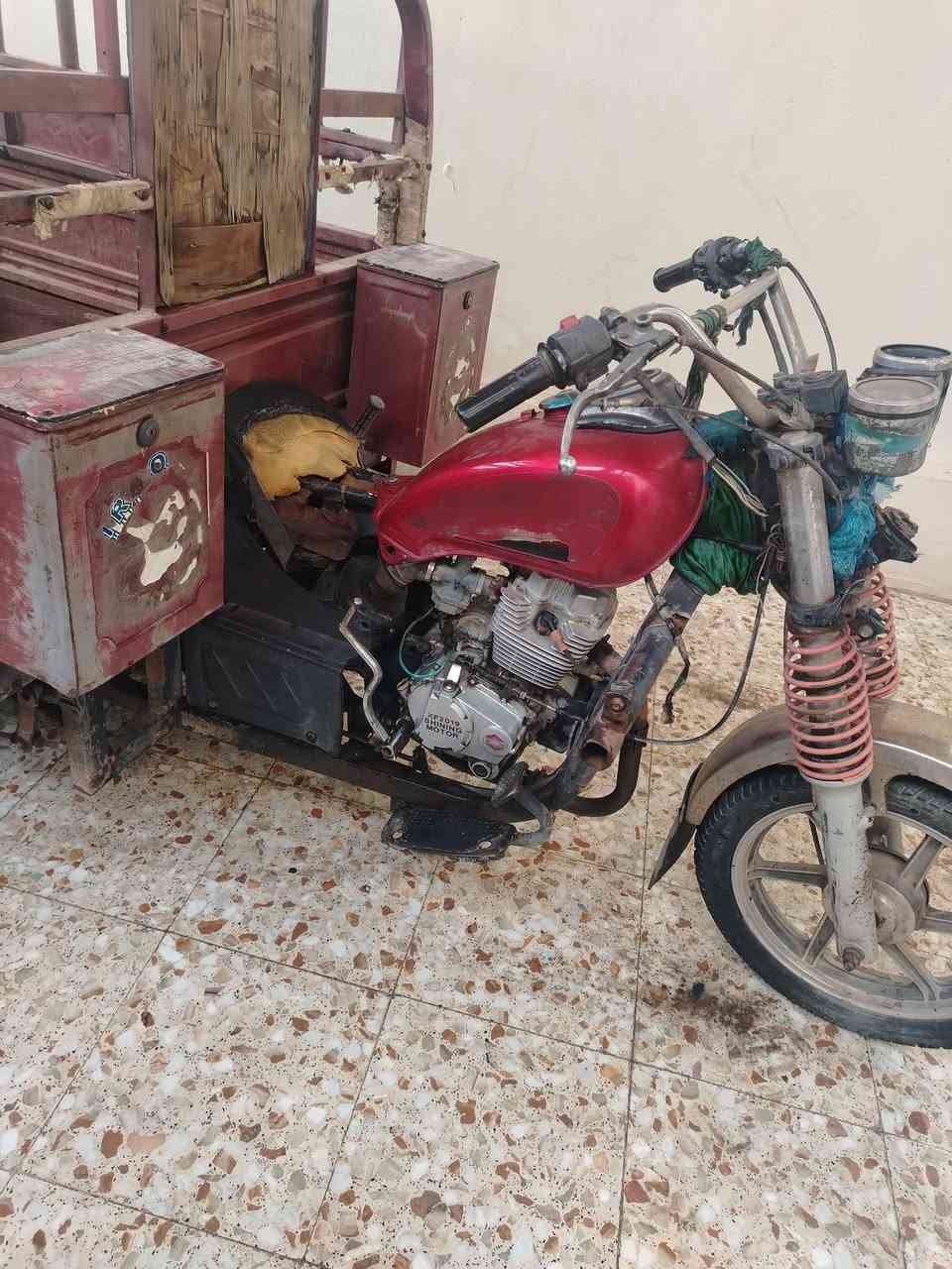 ستوته • ٢٠١٥ • كربلاء طوريج