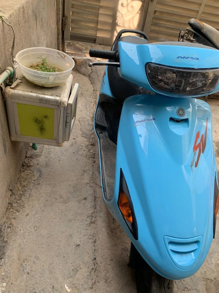 فراشه • شغال • مكان حله