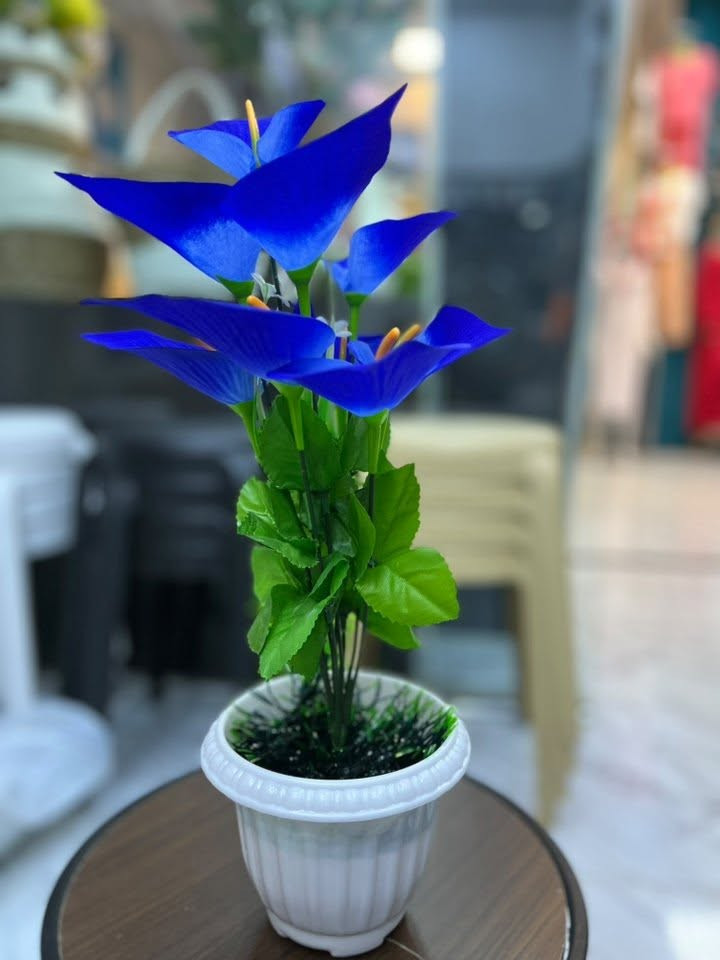 🌸🌿 تشكيلة ورود صناعية ولا أروع 🌿🌸
أشكال وألوان راقية تضيف لمسة جمال وحيوية للبيت ✨🏡
مناسبة للصالونات، غرف الضيوف والمداخل 🌷💐
اختاري اللي يناسب ذوقج وخلي بيتج أجمل 🌸😍

📍 العنوان: بعقوبة – التحرير – مجمع القمة داخل القيصرية – مقابيل المصعد
📞 ***********
📞 ***********
