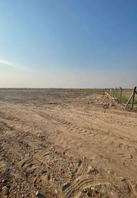 الشيخ عامر • ١٢ دونم • طابو زراعي