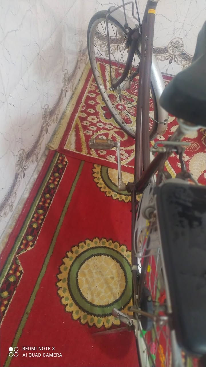 سلام عليكم
بايسكل للبيع 🚲

لون جوزي 🟤 طوخ

حجم 26 

نضافه 🛀 ٧٥ ٪

مكفول من الچاملغ للجاملغ 😁

السعر 💲 ١٠٠:٠٠٠ مع الغراض 

السعر 💲 ٨٥:٠٠٠ بدون غراض

عنوان 🏤 

الكوفه علوه الفحل قرب مخازن الموز

***********
واتساب فقط
