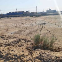 مجمع ابو كرار • ٢٥٠م • طابو زراعي
