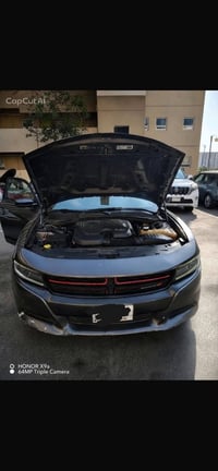 تشارجر SXT • ٢٠١٩ • بدون صبغ
