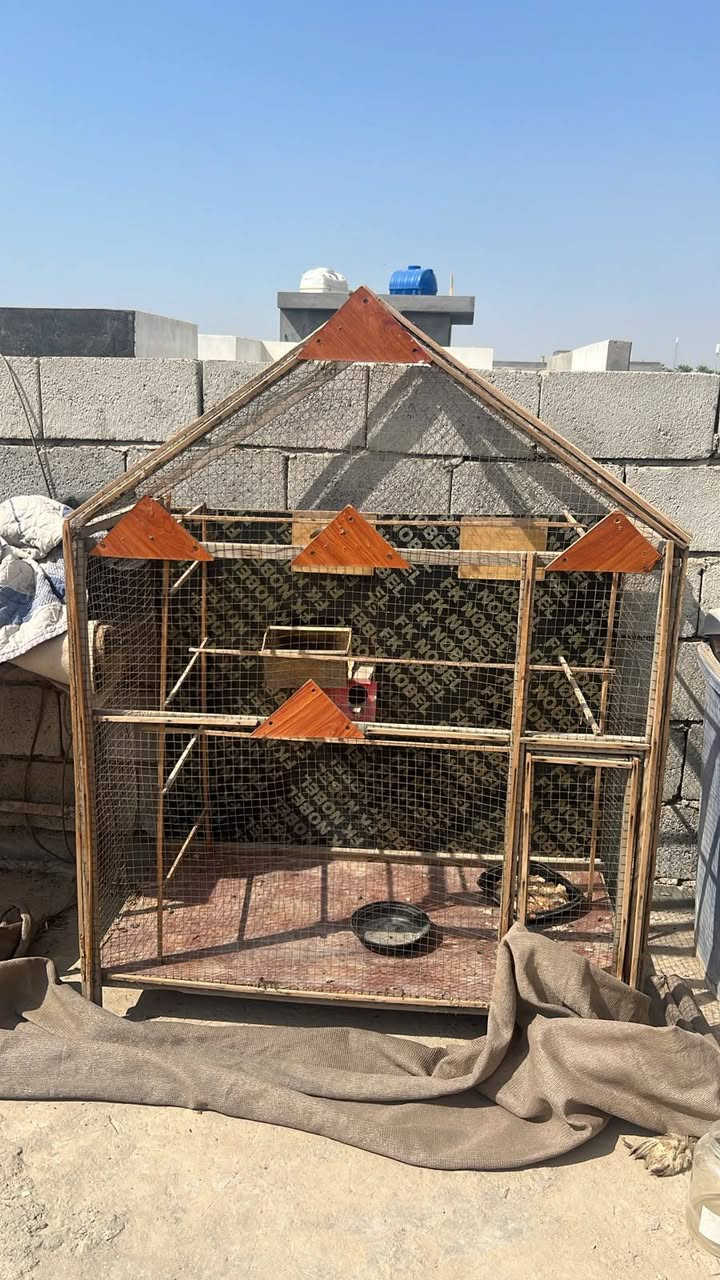 أقفاص • باسكل • واتساب