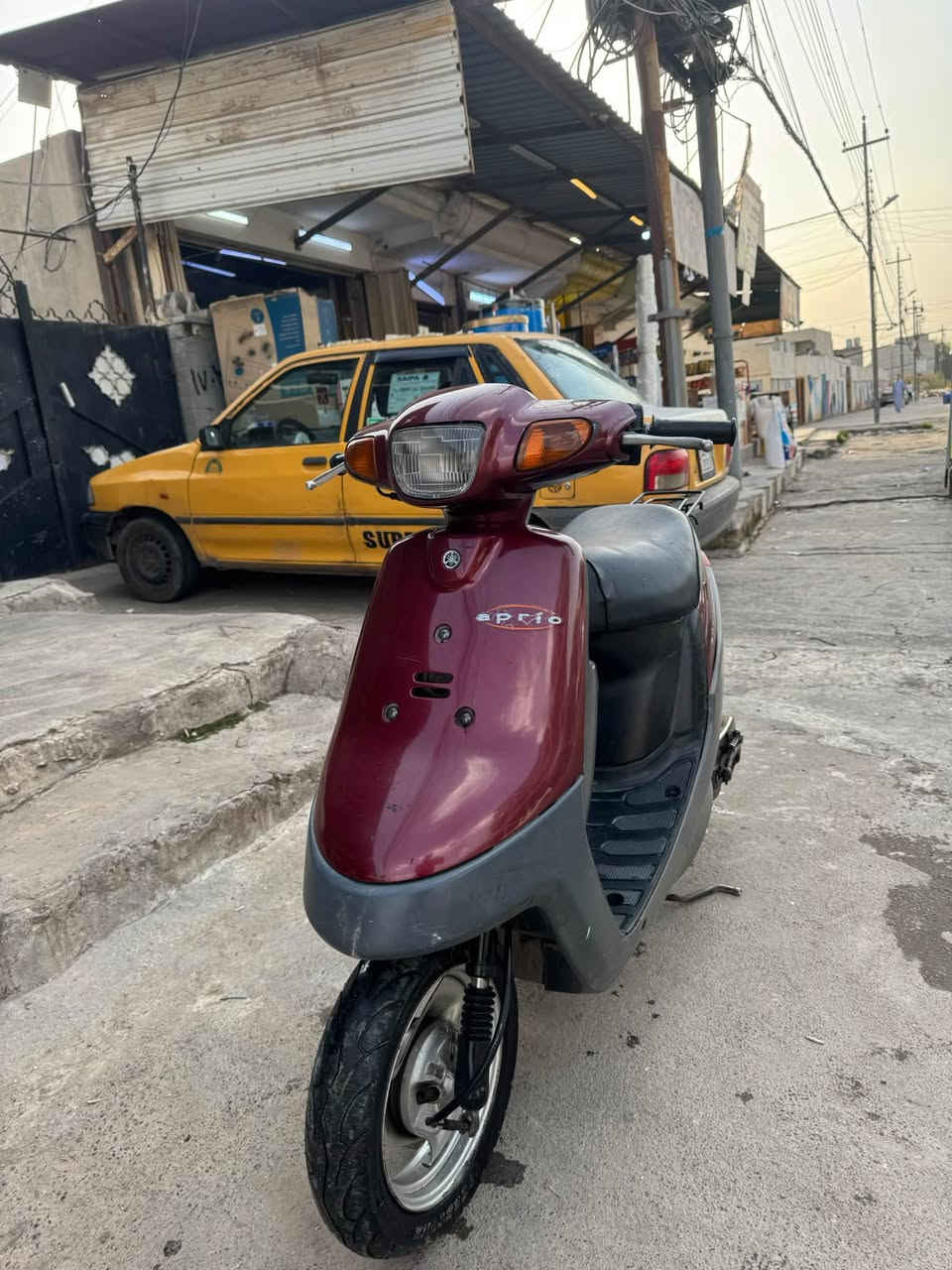 فول • سلف • شغال