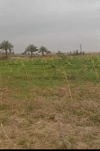 ٨ دونم • مباشر شارع تبليط • قريب جسر الحولي
