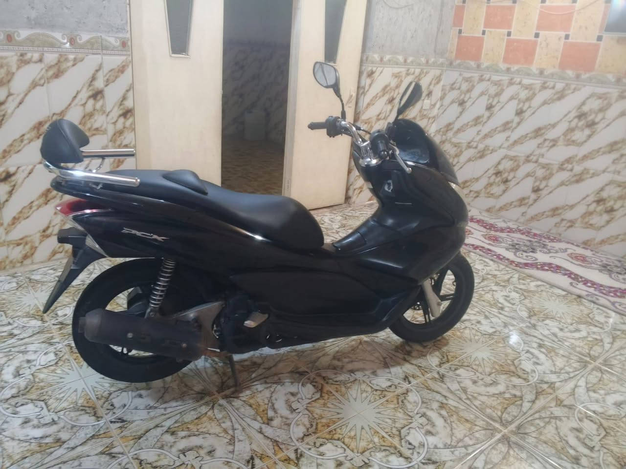 بي سي اكس • ياباني • كفالة