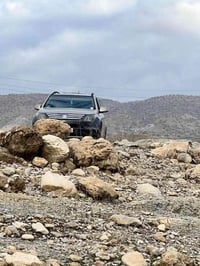 XL7 • ٧ راكب • بدون صبغ