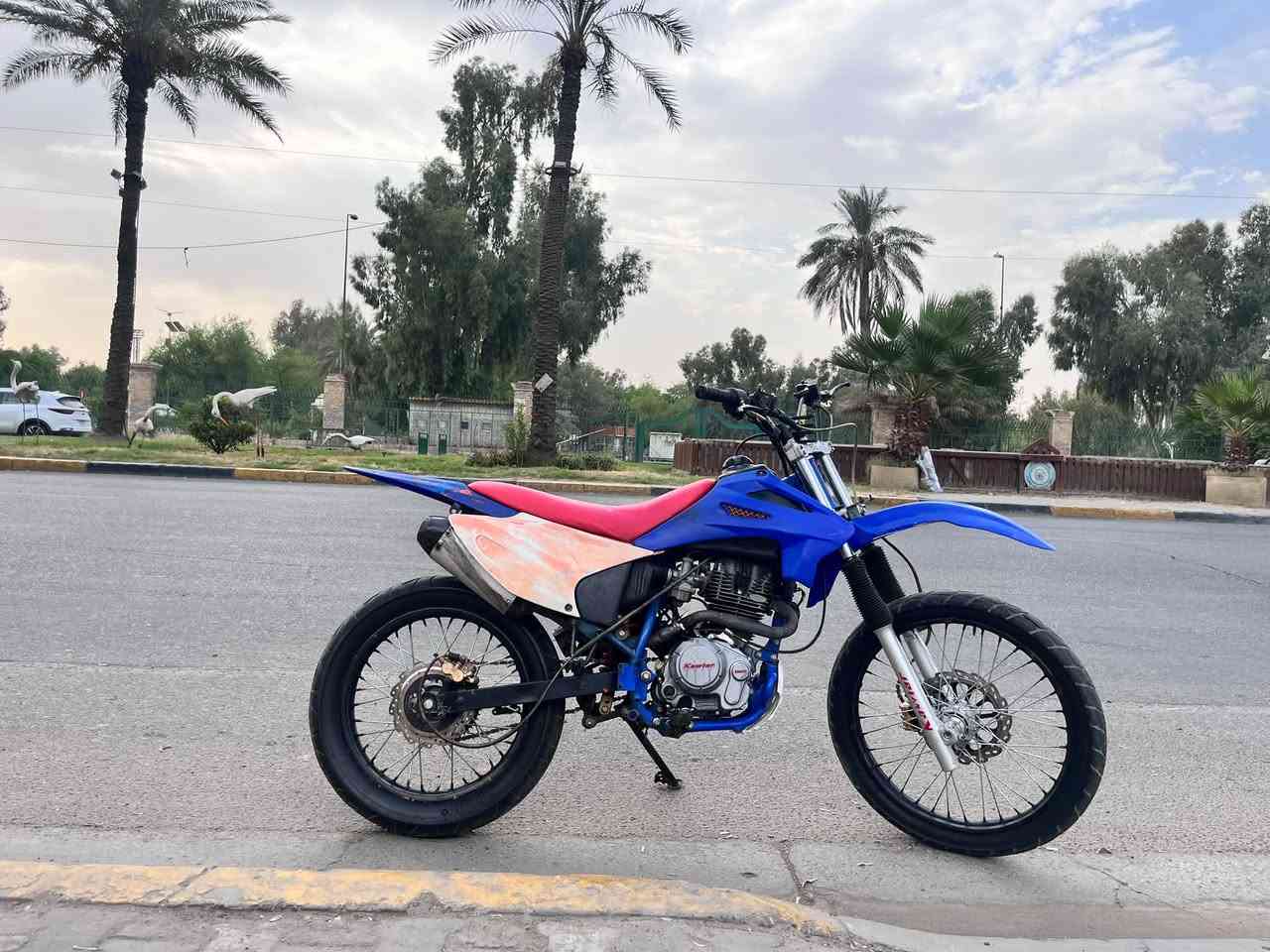قفاز كاويار موديل 2024 مكينتة خير من الله شلعه ومعدل تفليش
تايرات سياحي الدراجة بيه كفر اللايت وكعكه صالصنه وسطيه فقط مكاني بياع 
***********
