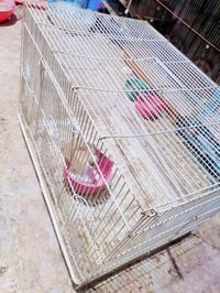 خانات • ٦٠×٤٠ • ناصرية