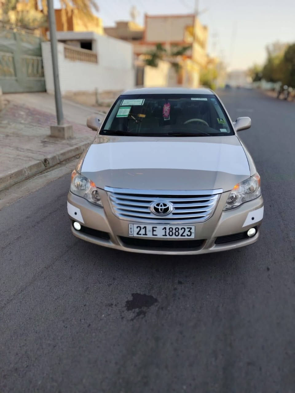 افلون • ٢٠٠٩ • وارد امريكي