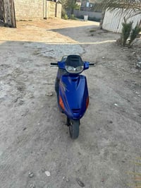 فراشه • فحل • البصره