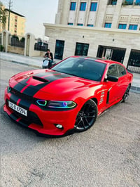 سكات باك • ٢٠٢٢ • وارد أمريكي