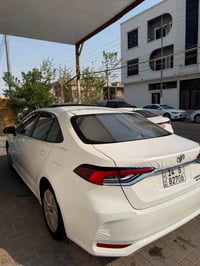 كورلا هايبرد • ٢٠٢٥ • رقم بصره
