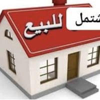 كوت دور الخليج • ١١٧م • واجهة ٦م