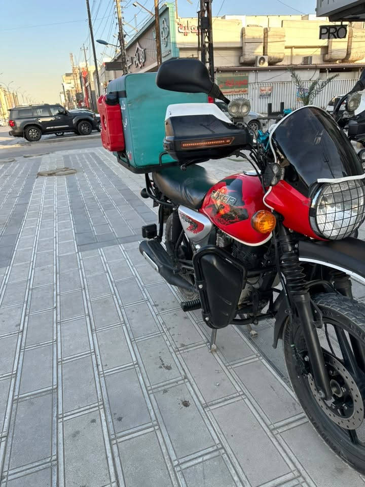 بوكسر جبلي • ٢٠٢٣ • مرقمه بغداد