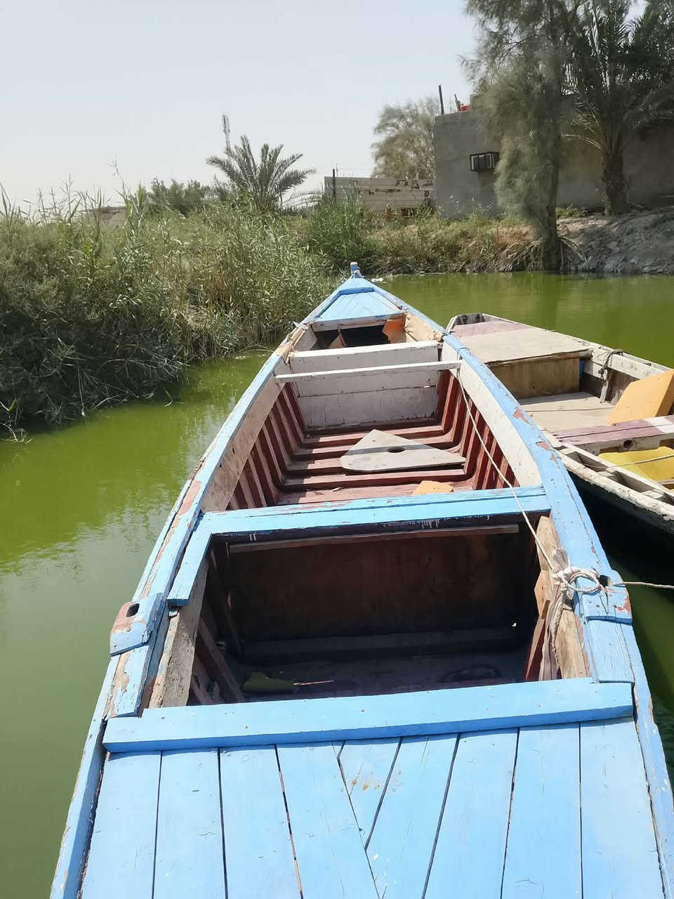 جينكوه فايبر7ونص. متر والعرض متره 20..السعر 700وبيه مجال...***********
