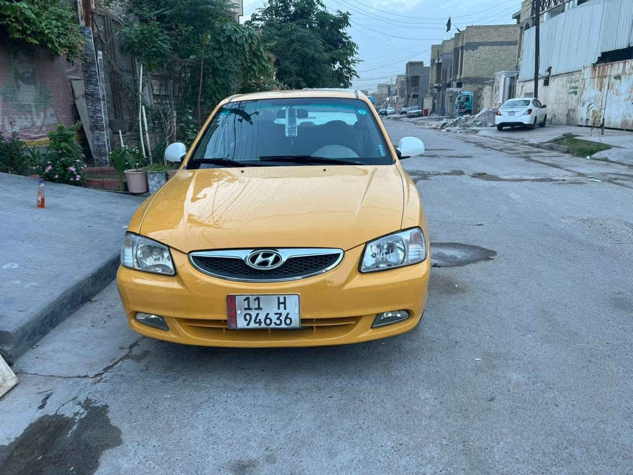 فيرنه • ٢٠١٤ • بغداد البلديات