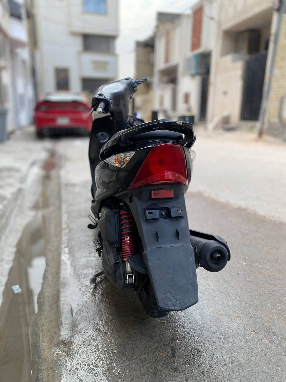 ثعلب • نضيفه • معدل