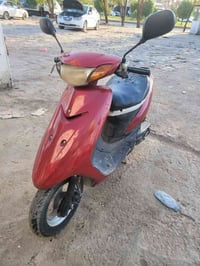 بطة • حمره • شغالة