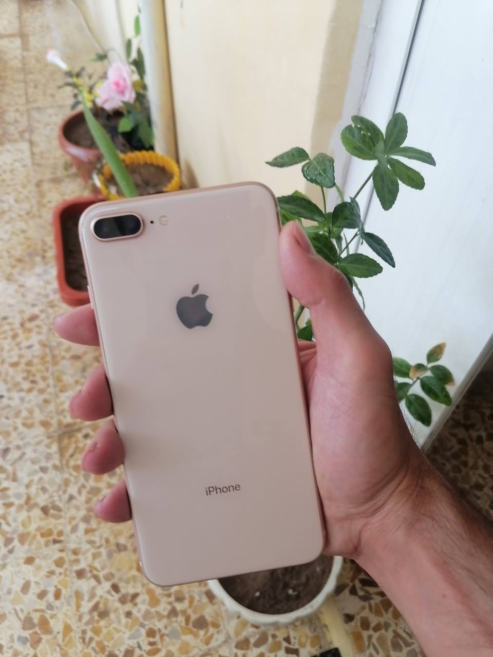 ايفون 8 بلاص
مبدل بطارية ١٠٠ 💯 
ذاكره ١٢٨ 🤖
مبدله شاشه بس نوعيه حلوه
جهاز نظيف جلخ مابيه
بصمه شغاله 
سعر 119 الف
*********** واتساب
