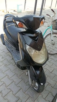 سكنس فحل • ياباني • كابريتر