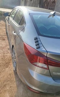 ٢٠١٩ • وارد امريكي • البصرة