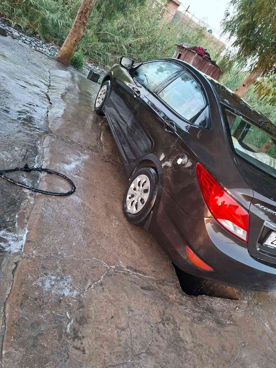 اكسنت • ٢٠١٦ • بابين