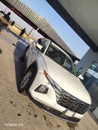 توسان • ٢٠٢٤ • وارد امريكي