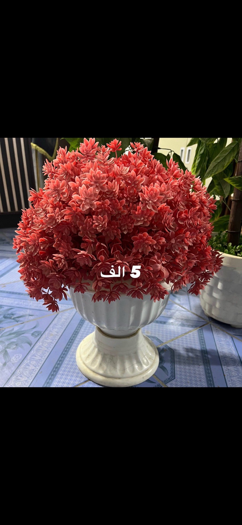 راسلني