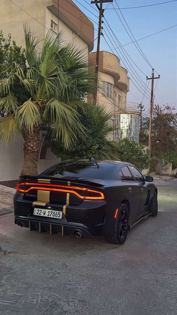 جارجر Gt 2023 كلين بيها فقط تعديل خشم البوند 
والسيارة مغلفة كامل ppf مات ماشية 54m
270 وبيها مجال   
 ***********
