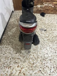 بريز • بغبغاء • نظيفة