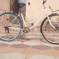 الغراف • ٢ بيسكلين • عوزة ترتيب