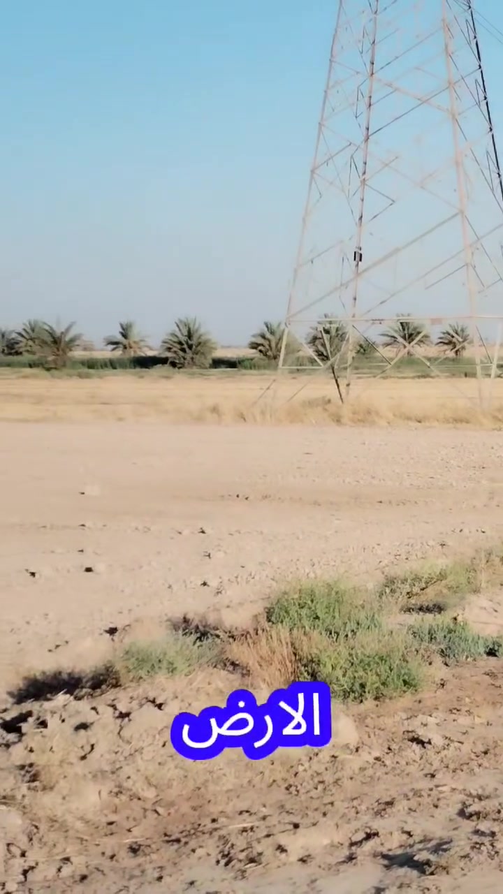 سلام عليكم يتوفر لدينا ارض زراعية للبيع مساحة ٣٠ دونم طابو زراعي سند ٢٥ عل طابو الحسينيه بغداد مجاور منطقة الحسينيه قرب لقمان الحكيم سند مستقل
تبعد عن السكن ٥٠٠م متوفر لها حصة مائيه للسقي تصلح للسكن وزراعه وبناء المخازن والحقول والمعامل واي استثمار اخر البيع كل المساحه حصرا السعر ٣٥ مليون للدونم قابل للتفاوض للأستفسار الاتصال على الارقام ***********
*********** صباح
