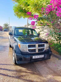 دوج نترو • ٢٠٠٨ • بدون صبغ