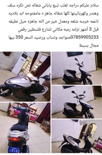 ثعلب • ياباني • شغاله