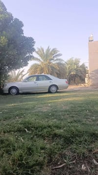 لببيع شراي يتصل 07808329566