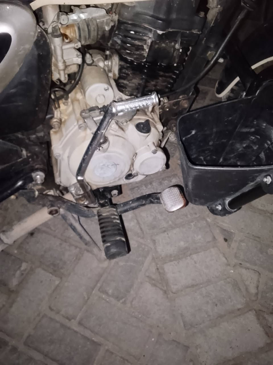 بوكسر • بدون اوراق • ٢٠٢١